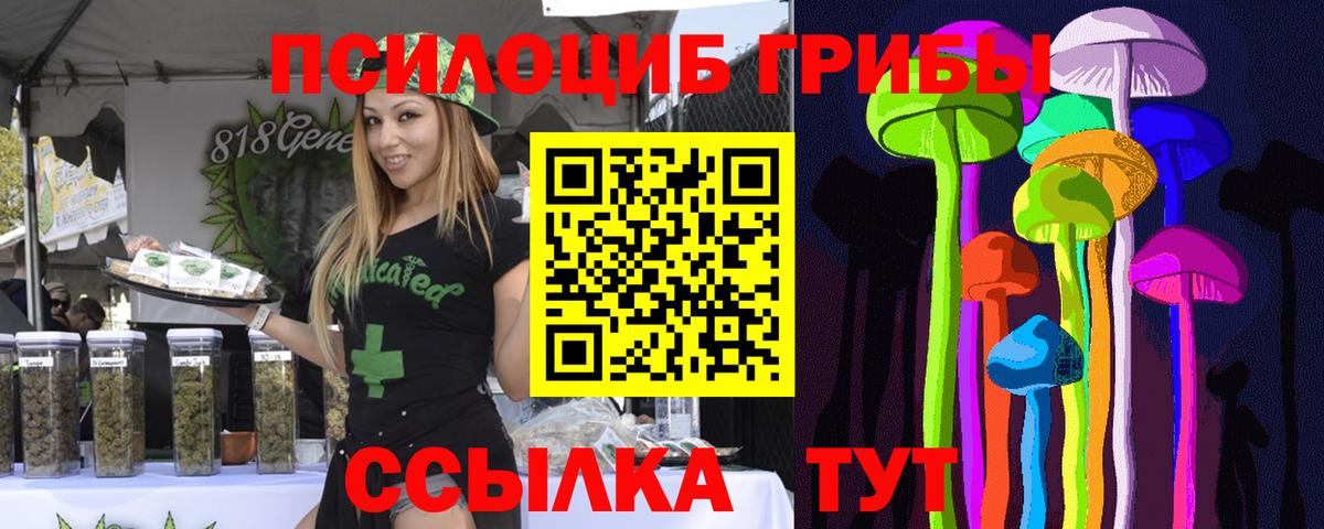 Мурино  Галлюциногенные грибы прущие грибы  Вход с VPN  Псилоцибиновые грибы Cubensis 